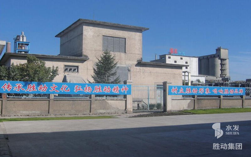 勝動(dòng)集團(tuán)