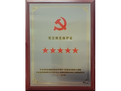 雙星閃耀映初心 黨建引領強發展&mdash;&mdash;勝動集團兩黨支部同獲五星級殊榮